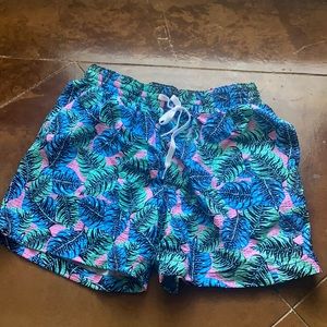 Men's Chubbies Swim Trunks